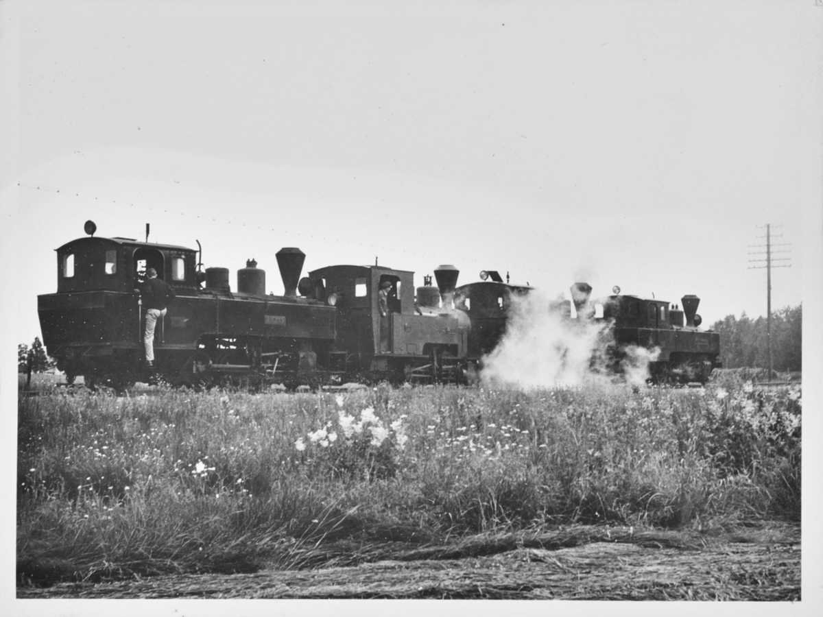 Fire av Urskog-Hølandsbanens damplokomotiver er trukket ut på linjen for fotografering.