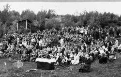 "Lykkjastemne" i 1942 (Ungdomsstemne)
Gol - og Hemsedal Kr. 