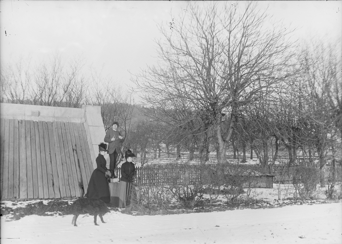 Christian Pierre Mathiesen, søstrene Anna og Mathilde og en hund i hagen på Linderud Gård vinterstid.