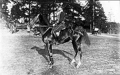 Kavalleriskolan 1908-09 samt tävlingar 1911-14.  
Underlöjtnant C A Torén på Falken vid Nordiska spelen 1913.