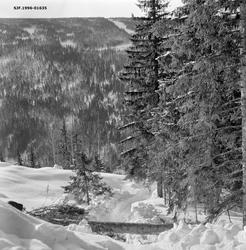 Hankekjøringsveg i Vestre Gausdal.  Fotografiet er tatt nedo