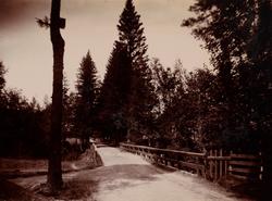 "Berger" veien til grosserer Berger sitt hus.