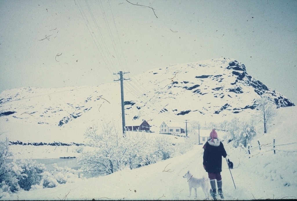 Langholen, bruk 9, i vinterskrud. Gunvor Skårland med hunden "Prins" Bildet er teke mot aust. ......fjellet i bakgrunnen.