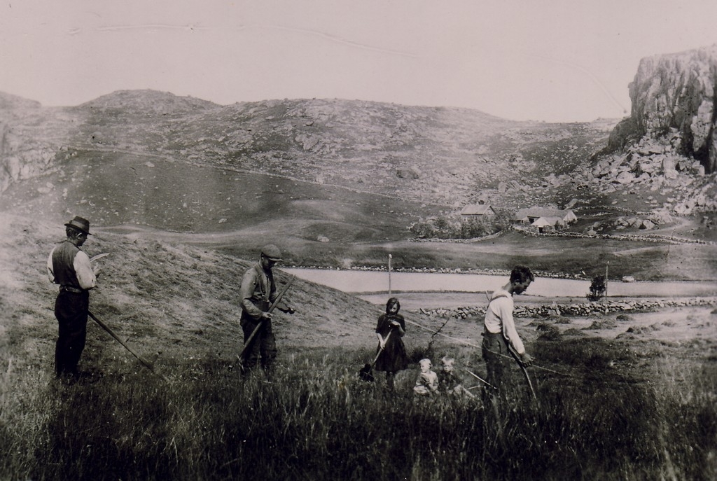 I slåtten i 1924. Husa på garden ser ein over vatnet i nordvest. Frå venstre Ola, Børge, Sigborg, Judit , Olav Sigurd og Olav.