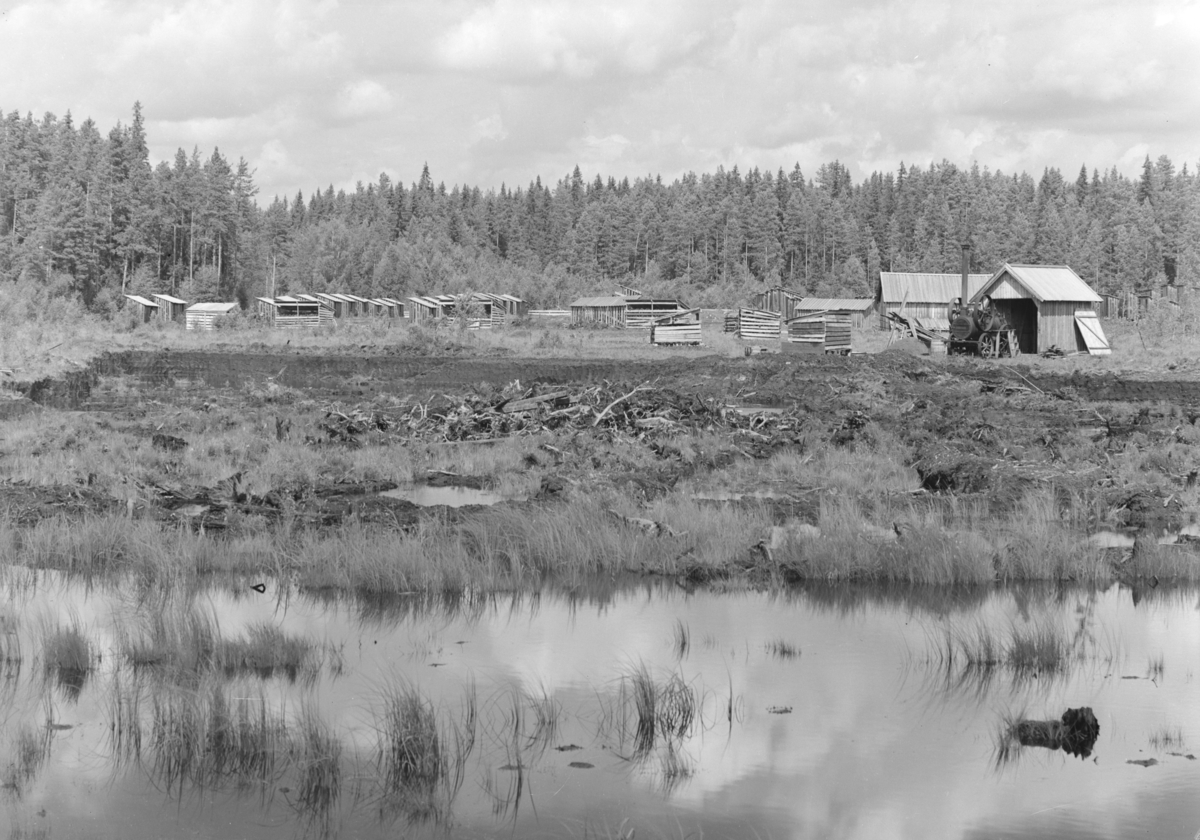 Løten Almenning. Torvmyr, torvbuer, lokomobil, Ebrumyra, Ebru torvfabrikk, drift 1912-1952.