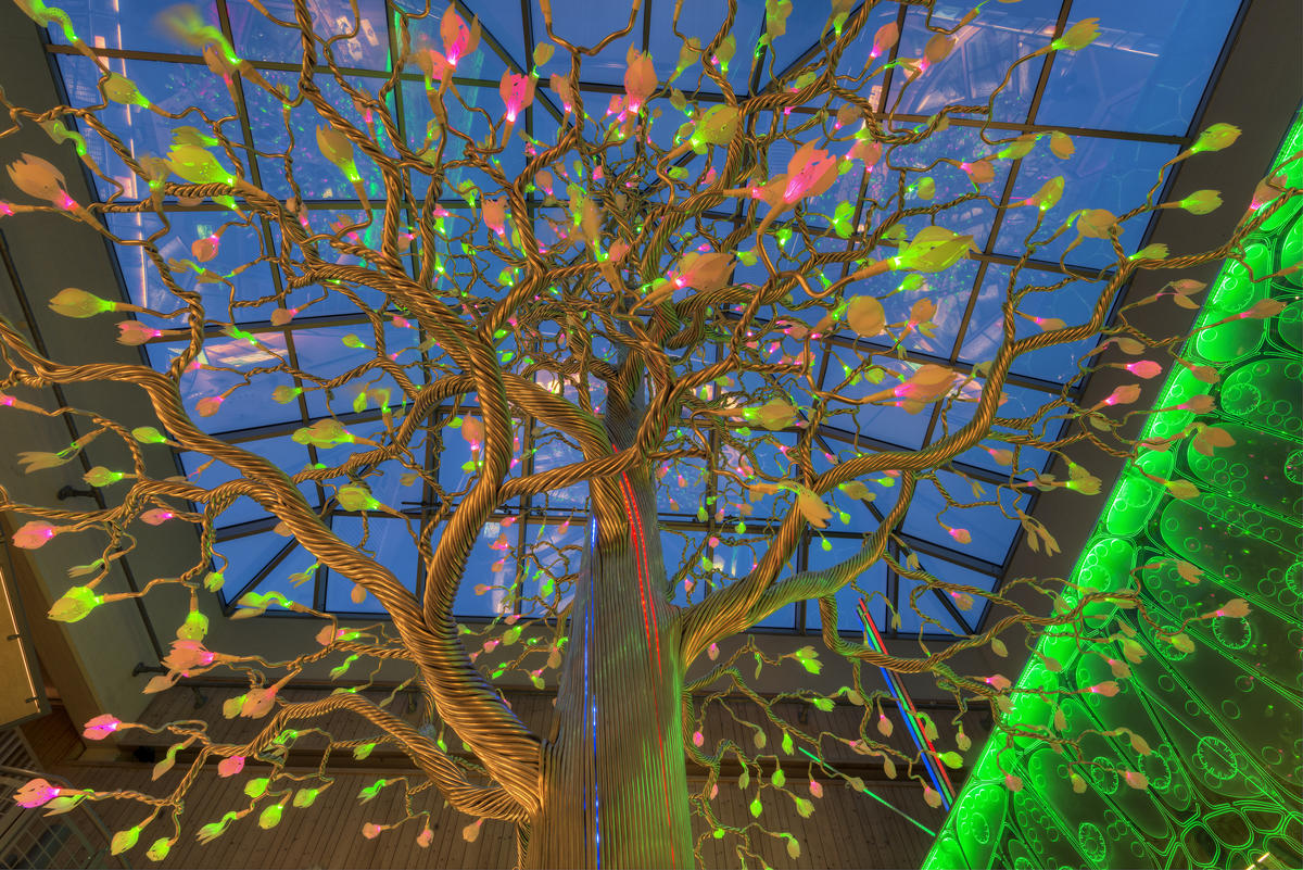 Det fantastiske treet. 16/12 2015