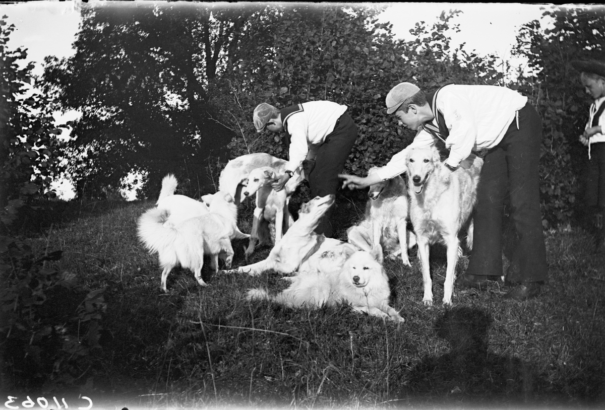 Drottning Victorias bilder. Prinsarna Wilhem, Gustaf (VI) Adolf och ...