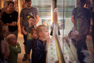 Foto av barn som ser på fisk i akvariet