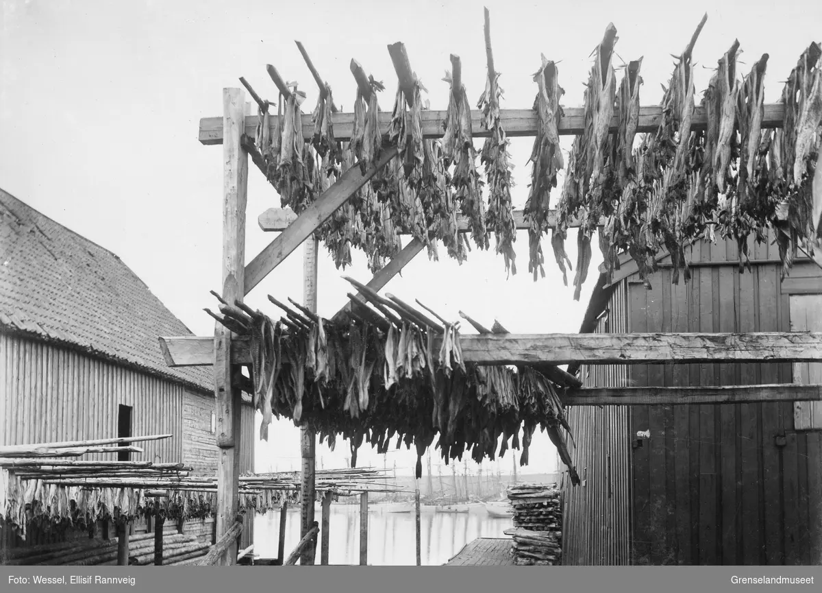 Fiskehjell i Vadsø ca 1900