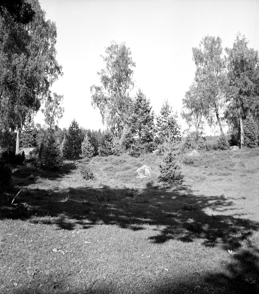 Naturminnen från Sandhem, Grimstorp Ekängen.