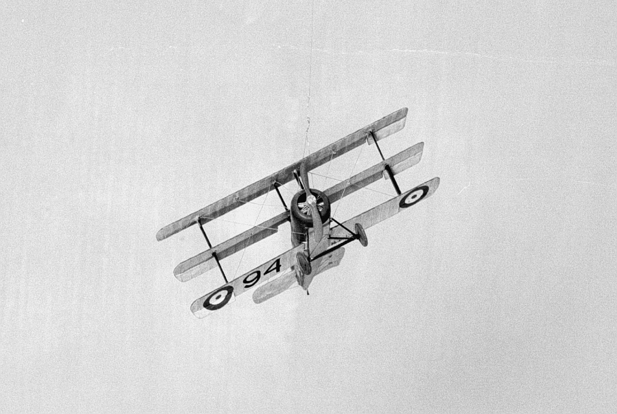 Modell i skala 1:40 av ensitsigt engelskt jaktplan med tre vingplan byggt av Sopwith Aircraft Co, England.