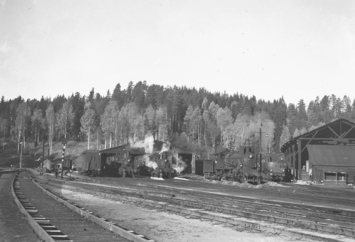 Damplokomotiver fra venstre type 21, 18c, 24b og 63a utenfor lokstallen på Hønefoss.
