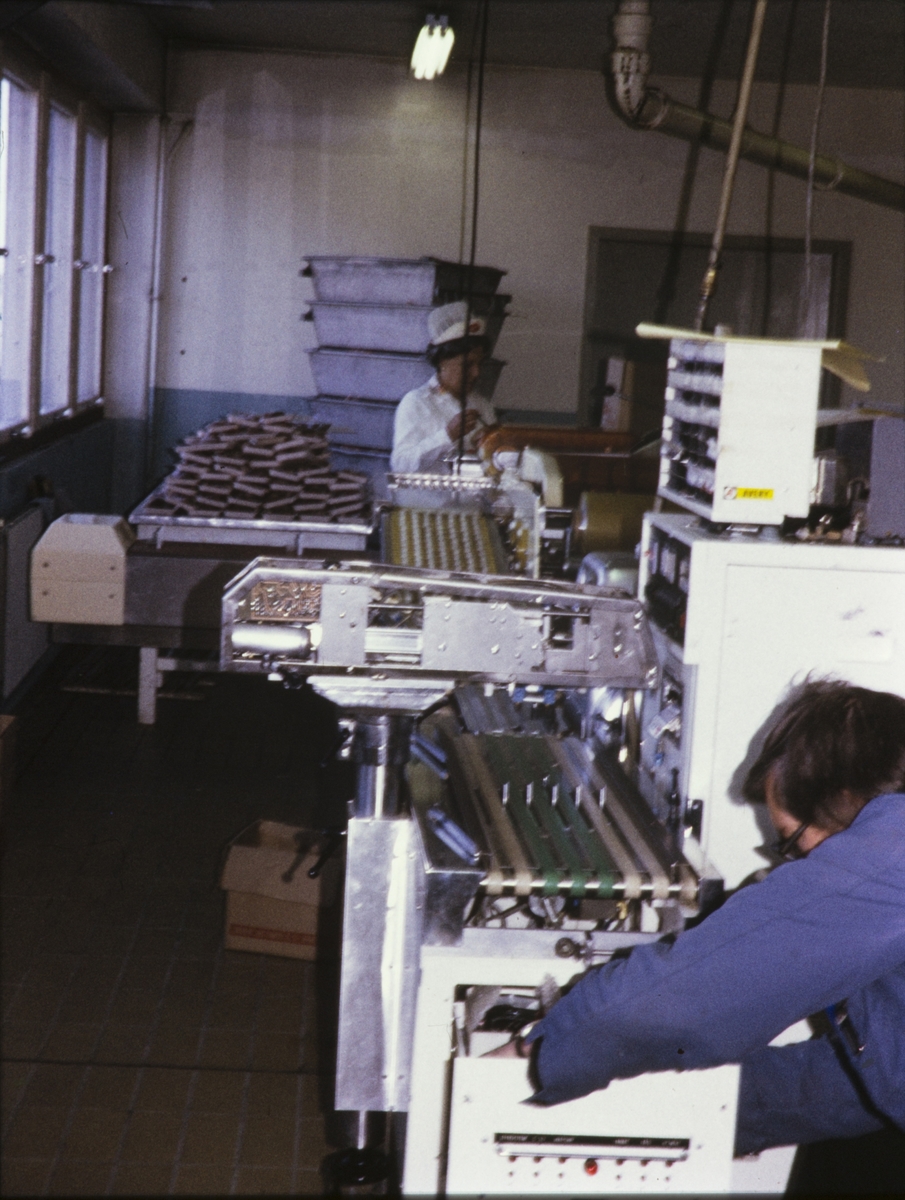 Arbeidere og maskineri inne på Bothnerfabrikken.