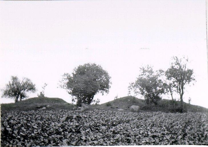 Vartofta gård, nu frånsåld del. Två gravhögar varav den högra undersökts 1876 av Montelius och Retzius. Innehöll en mycket liten gånggrift.