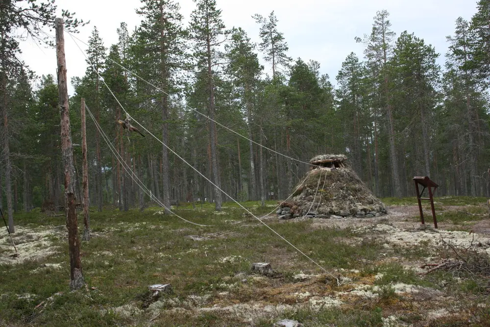 Falkefangerhytte oversiktsbilde. I bakgrunnen ser vi hytta med tau opp i ett tre.