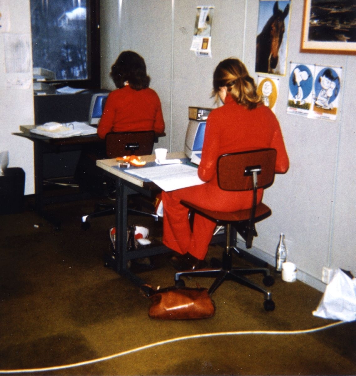 Landskap. Kontor. Oslo. To personer fra Widerøe ved sine skrivebord i et kontorlandskap. Hver enkelt er opptatt med sitt. Skimter vi en datamaskin på bordene ?