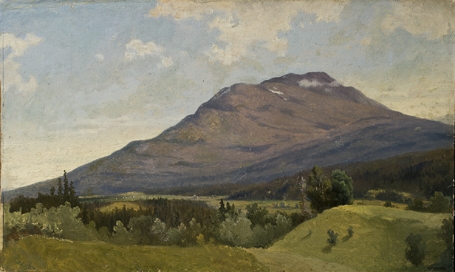 Målningen är sannolikt utförd under Gustaf Wilhelm Palms resa i Jämtlandsfjällen hösten 1854.