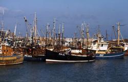 Fiskebåter til kai i Peterhead.