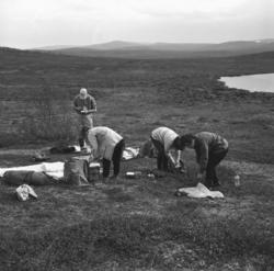 Fire personer på fjelltur, sted ukjent. Til høyre på bildet 