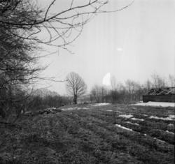 Vardens arkiv. "Ny leirplass v/kjempa" 09.04.1954