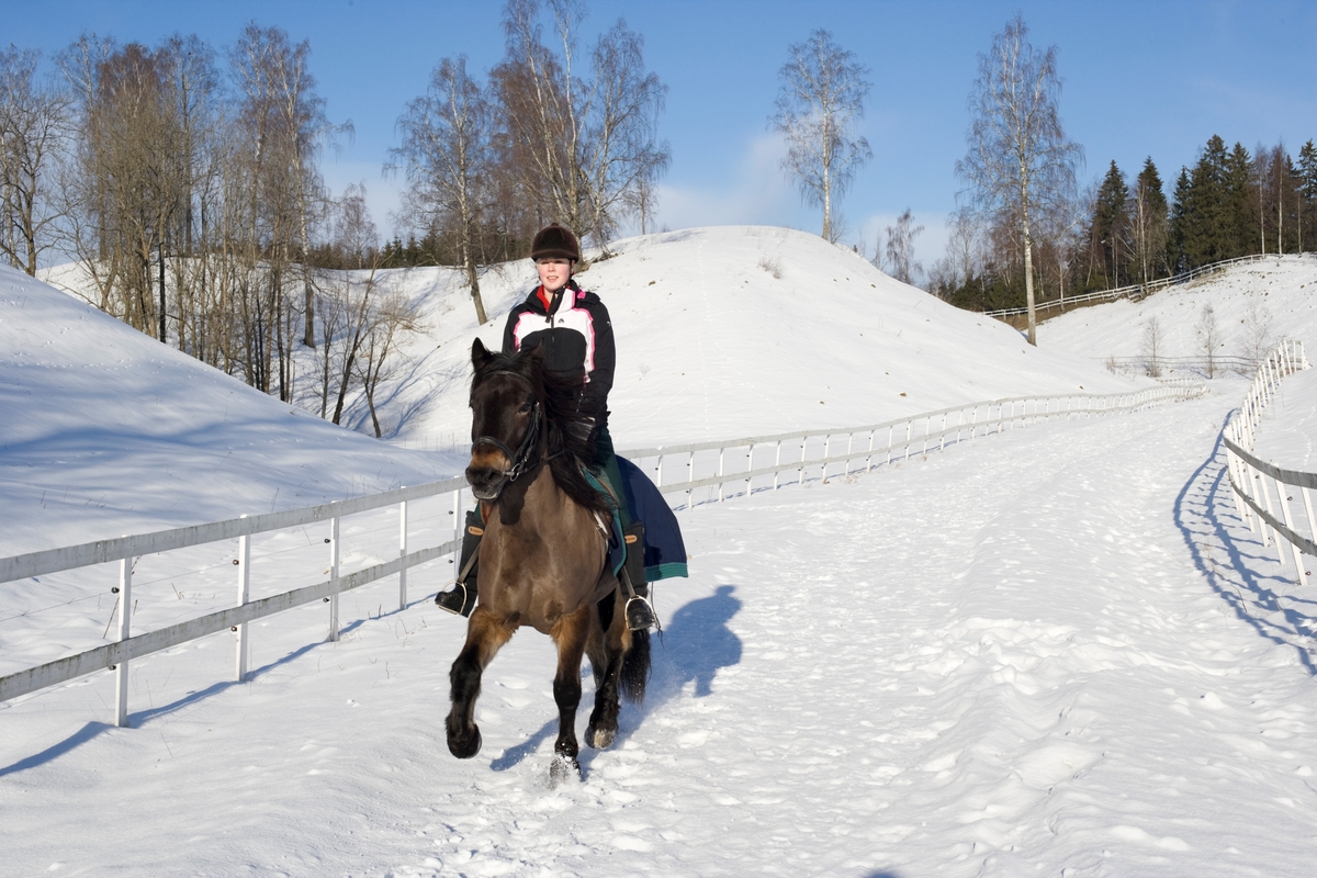 Rytter og hest i snøen