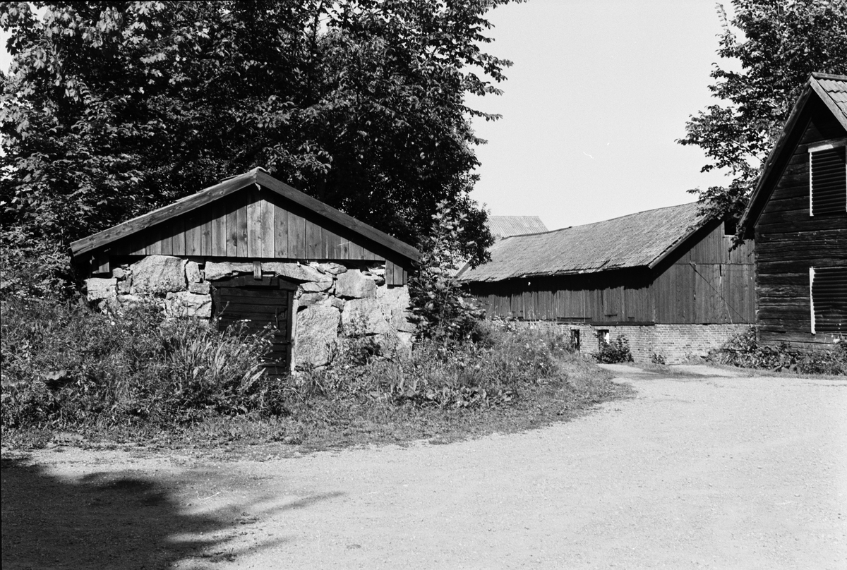 Källare, Norrby 1:2, Skuttunge socken, Uppland 1984