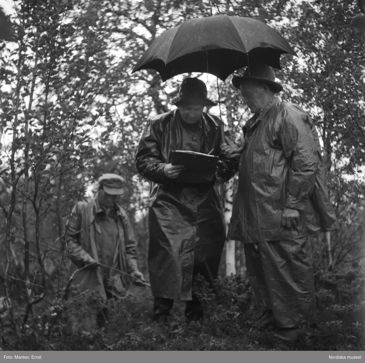 Från uppmätningen av fångstgropssystemet i regn. Westin, Johansson (med paraply) och Johnson. Under Nordiska museets Lappmarksinventering i Vuomavare.