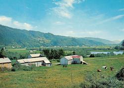 Postkort ";F-5425-2"; med motiv fra Surnadal kommune. Kortet