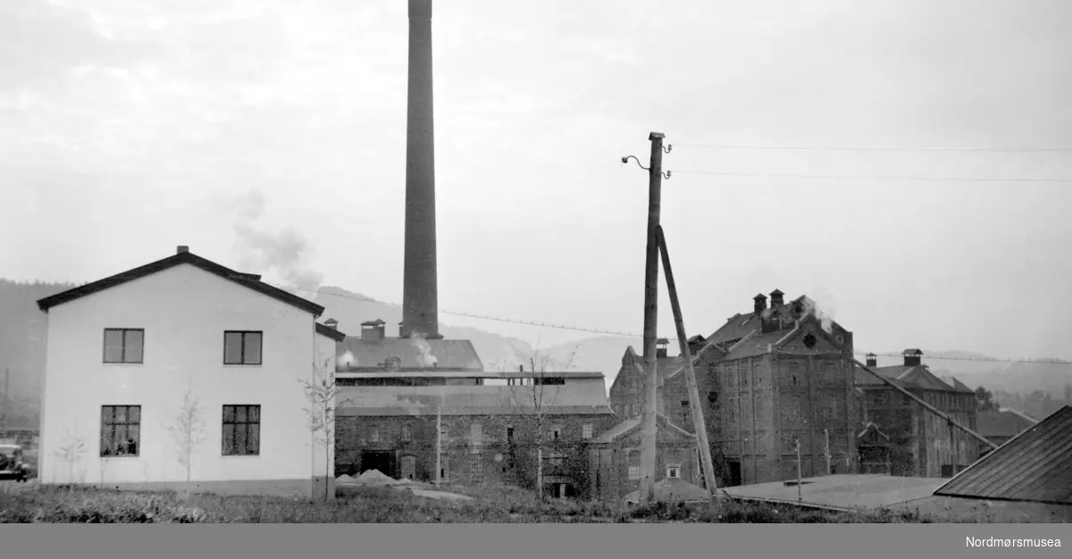 Foto fra en fabrikk - ukjent hvor. Kan den være fra en plass i Romsdalen eller på Nordmøre? Muligens Tingvoll?? Datering er også usikker, men trolig omkring 1920-1939. Fra Nordmøre museums fotosamlinger.
