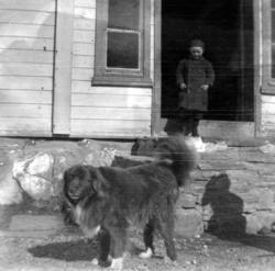 Foto av et lite barn stående i døren, med en hund i forgrunn