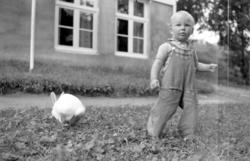 Fotografi av en liten gutt sammen med en kanin. Gutten er Pe