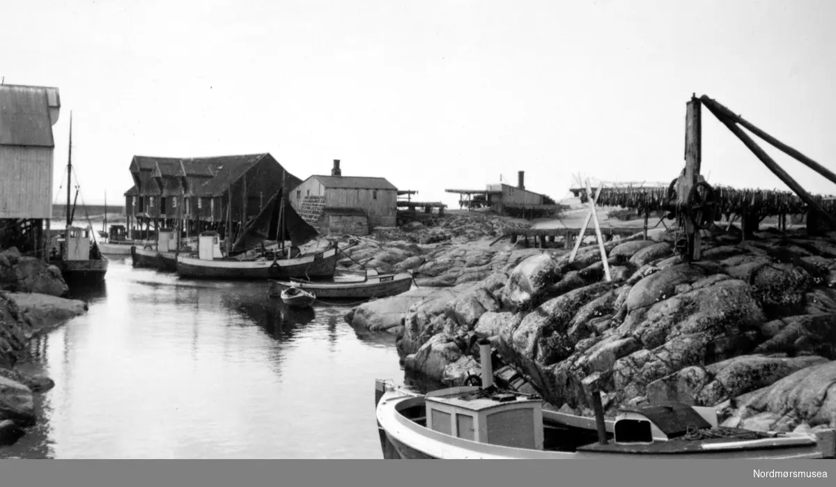 Et bilde fra båthavna på Grip. Fra Nordmøre Museum sin fotosamling.
