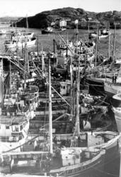 Foto fra Vågeveien på Kirkelandet i Kristiansund, hvor båten