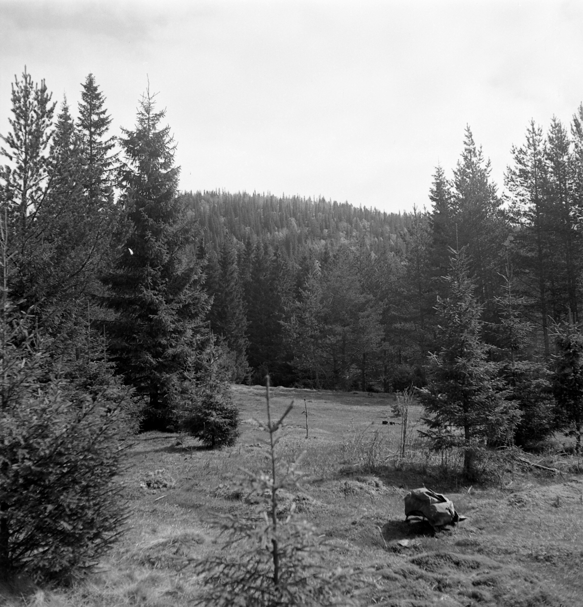 Nygårdsvollen ved Hommelvik