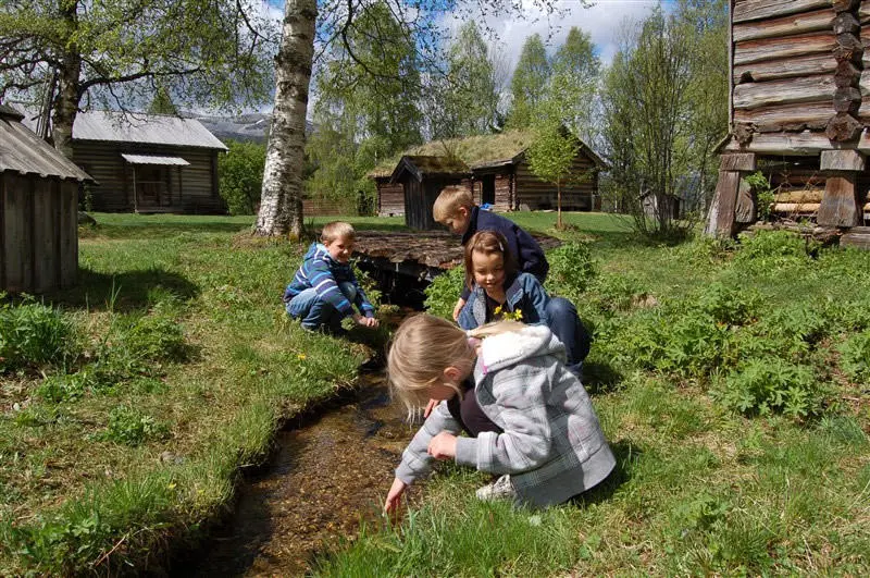 bilde av bekken som renner gjennom tunet. Langs bekken sitter det flere barn og leker og studerer bekken.