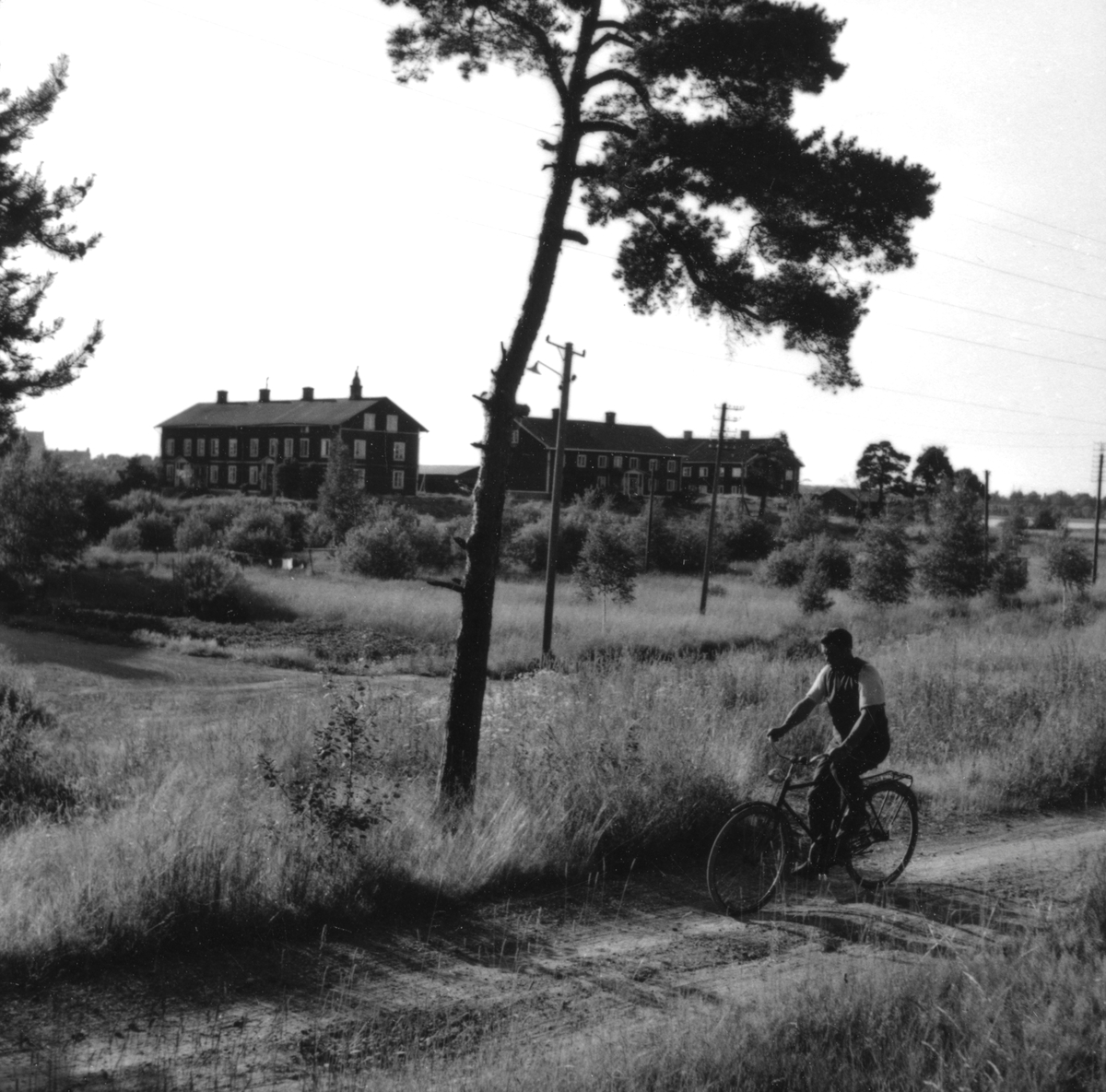 Orrholmsvy fr&aring;n slutet av 1950-talet.