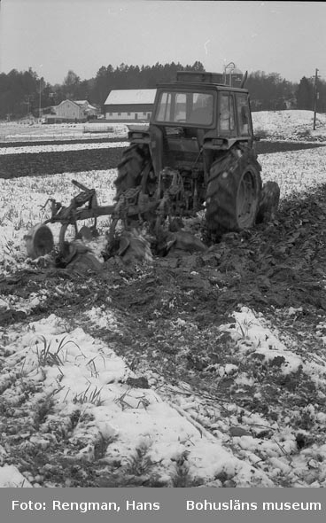 Höstplöjning med traktor och treskärig plog