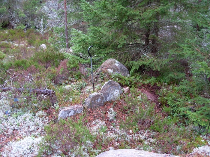 Vettare
Foto av gränsmärke, s.k. vettare, bestående av 5 stenar, 2 av stenarna  är kullfallna.
Raä 206 c, 2010-11-17