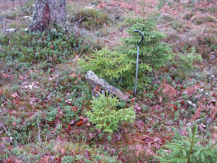 Gränssten
Foto av gränsmärke i form av en rest sten. Stenen lös och vilar mot en stubbe.
Raä 215 b, 2010-11-18