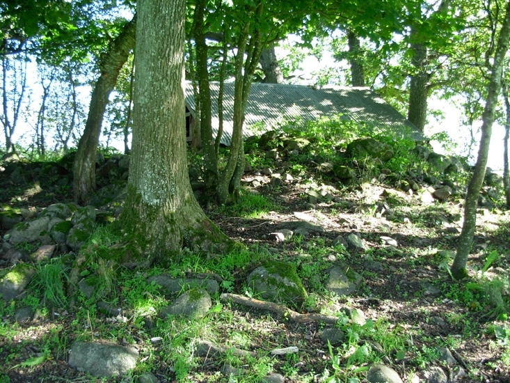 Röse
Foto av Röse, av typen jordblandat röse. Jordkällare i södra delen, samt delvis belamrad med röjningssten. 
Raä 216 b, 2010-09-01.
