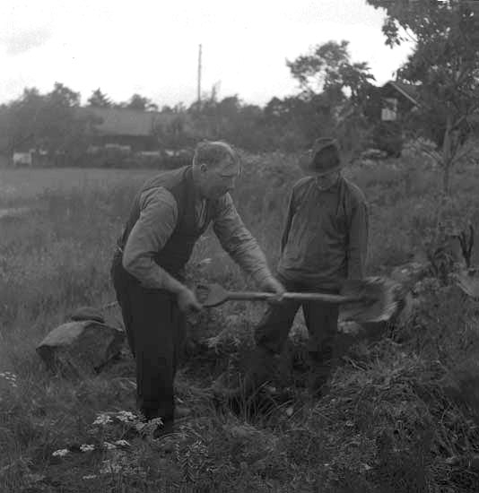 Arkeologisk undersökning av hällkistan RAÄ 26:1 i Kalvsvik socken, Sunnerön 1:19, år 1946.