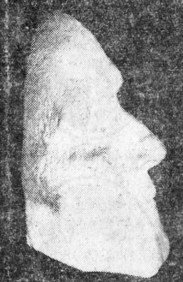 Avgjutning av Christina Nilssons ansikte - Christina Nilssons dödsmask.
