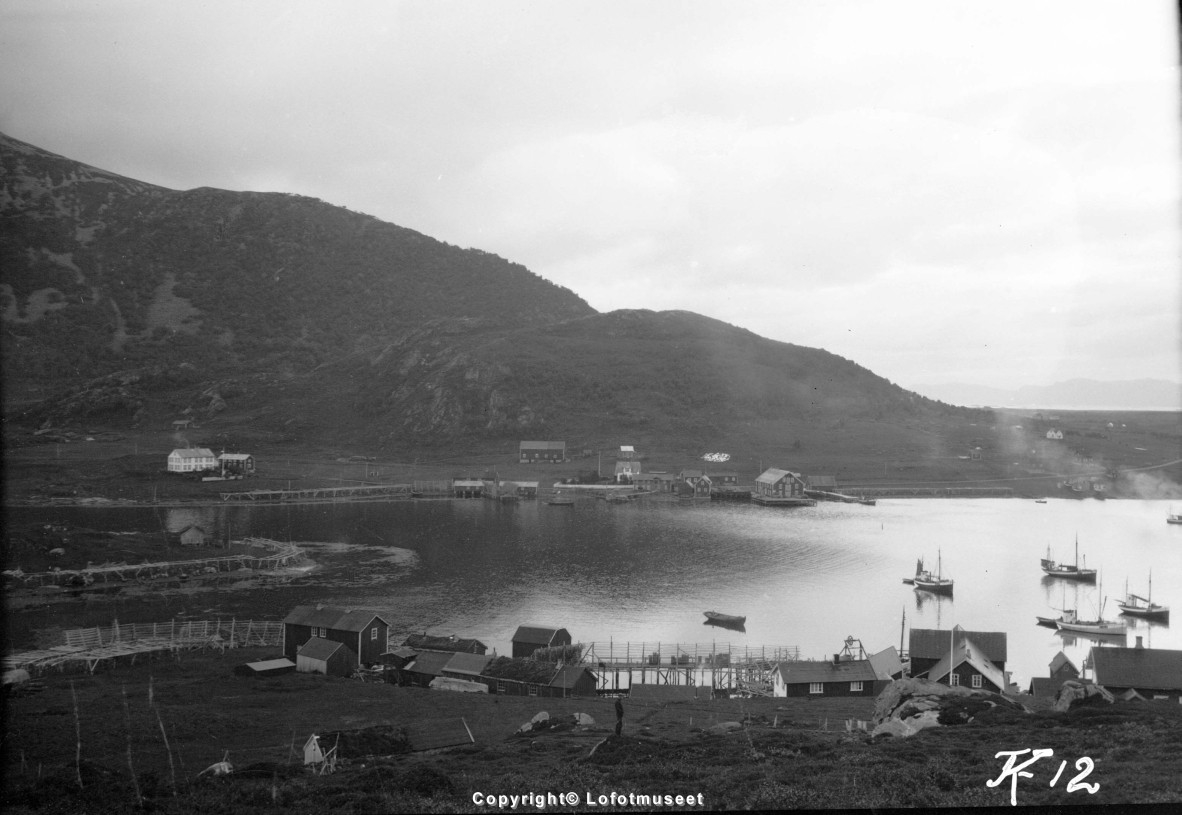 SOMMARØY: OVERSIKTSBILDE. - Museum Nord / DigitaltMuseum