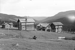 Gårdsbygninger, hest på tunet.