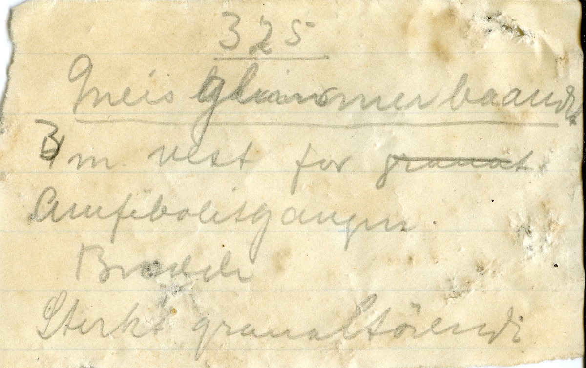 Etikett i eske:
Glimmergneis m. granater
«det milde baand»
3 m. V. f. Amfibolitgangen. 325 m. dyb. 
Samuels grube.
M. Johnson 1912. marts.

+ papirlapp
