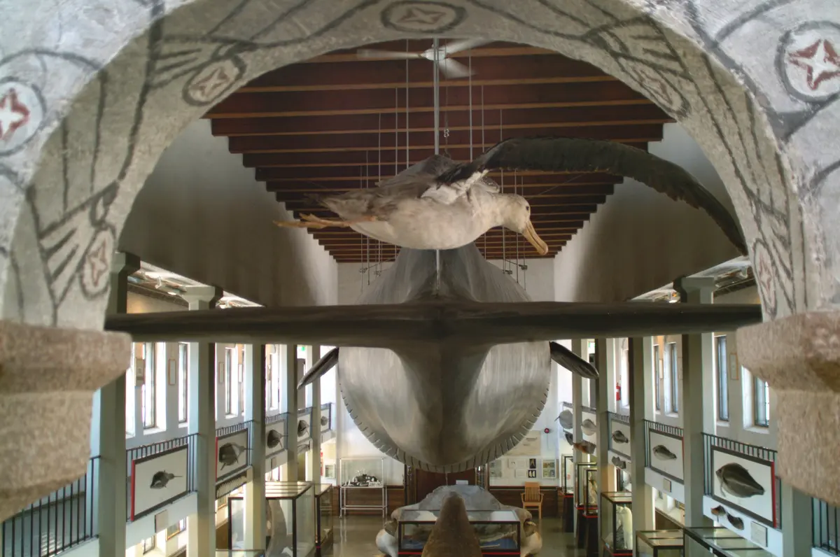 Kommandør Chr. Christensens Hvalfangstmuseum