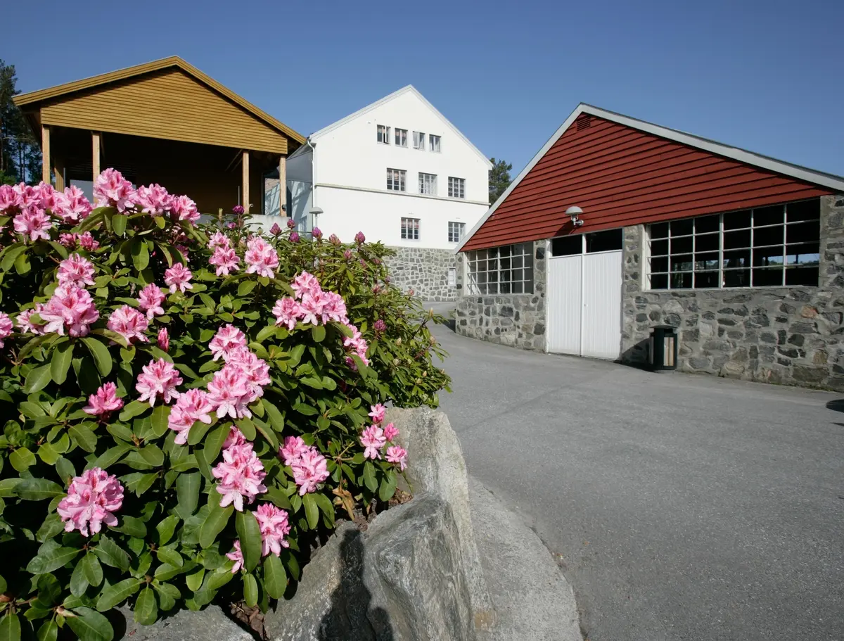 Stiftinga Sunnmøre Museum
