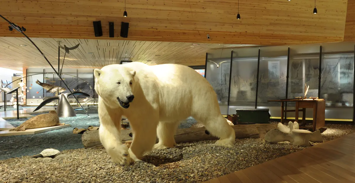 Svalbard museum