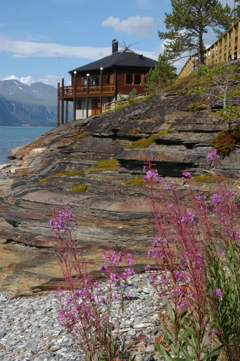 Stiftelsen Lásságámmi