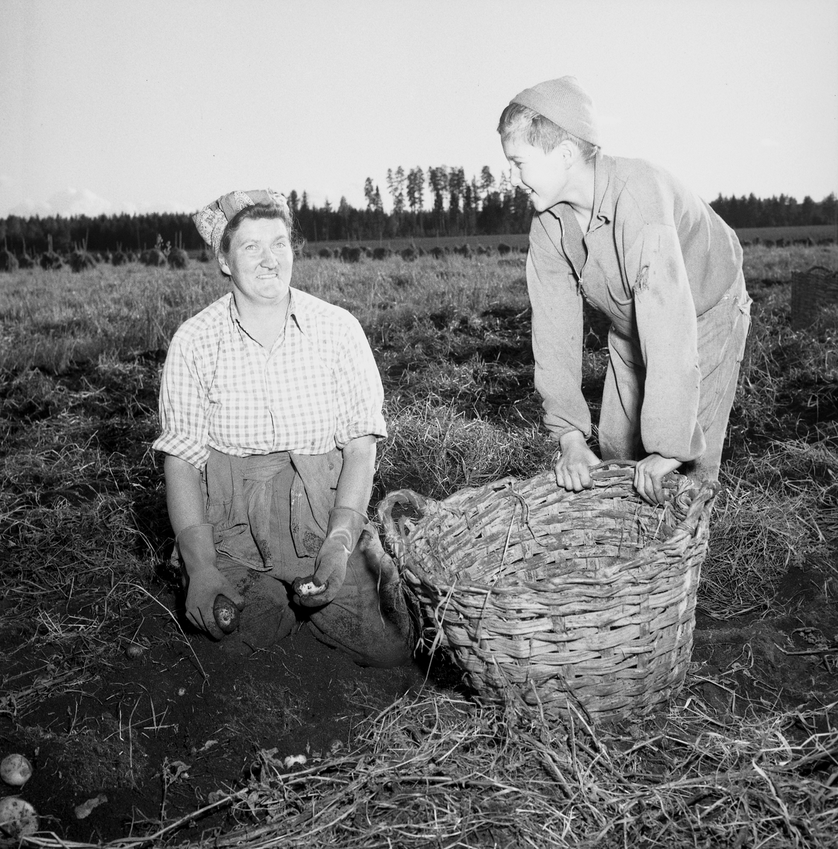 Skyllberg. Bildsidan.1 oktober 1955.